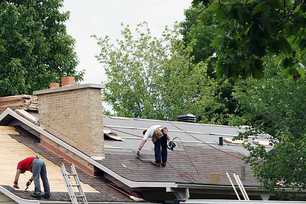 Roof Gutter Cleaning in Lafourche Crossing, LA